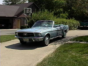 mustang.jpg