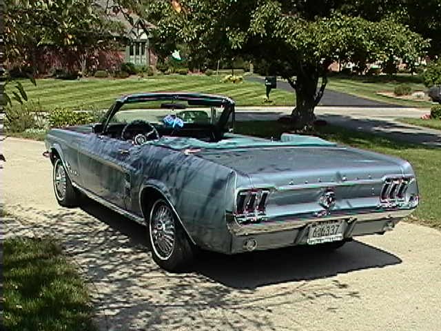 imga0017.jpg