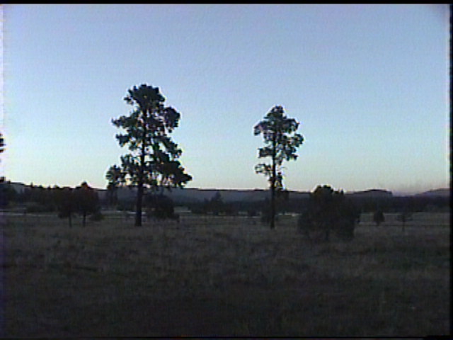 imga0032.jpg